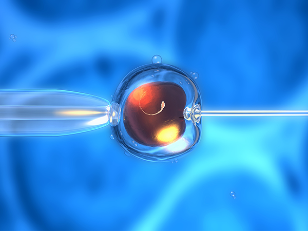 4cb囊胚能移植