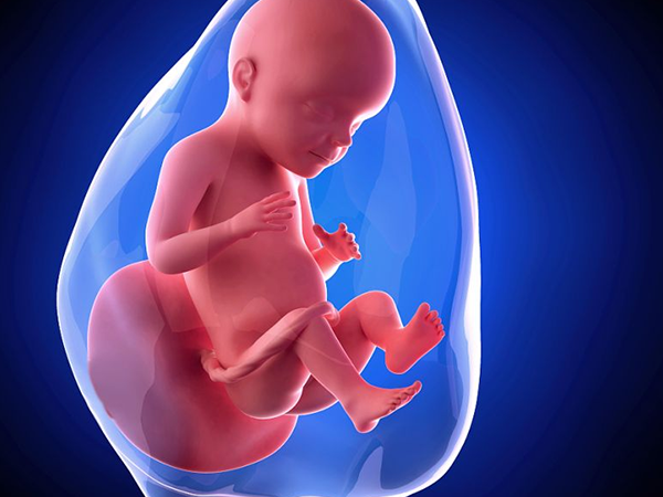 孕妇可以加强营养来促进宝宝的生长