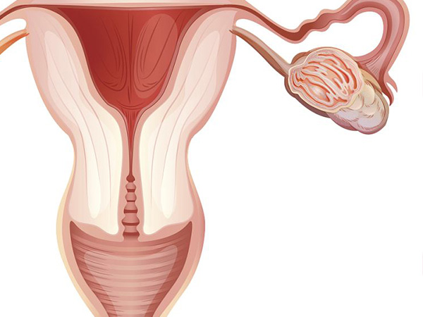 子宫肌瘤会随着孕期增加而长大