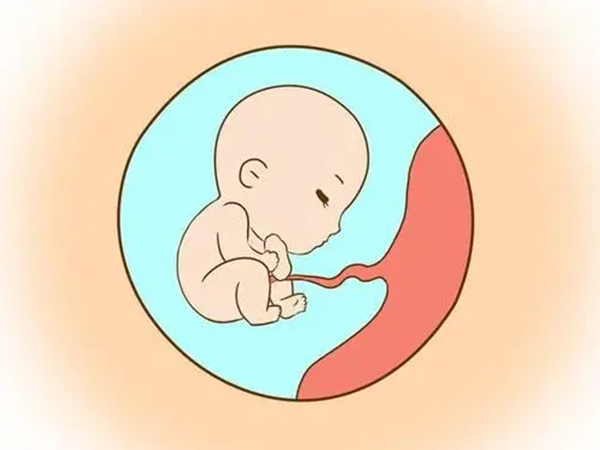 胎盘低置会随着孕周的增加而长上去