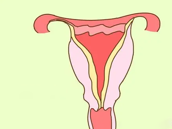 孕妇多走动可以促进宫颈管成熟