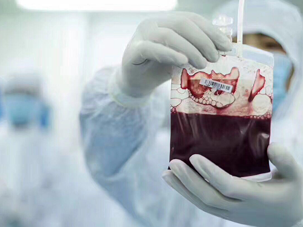 脐带血含有丰富的造血干细胞