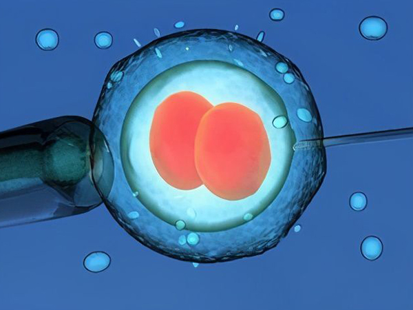 一级胚胎的碎片率低于二级胚胎
