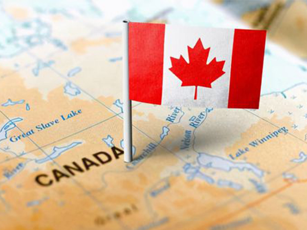 加拿大试管要提供签证