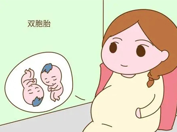 双胞胎怀孕过程图片