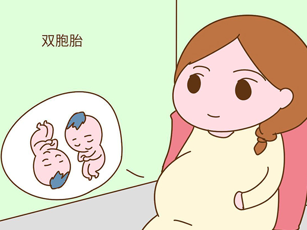 双胞胎在肚子里位置一般固定不变