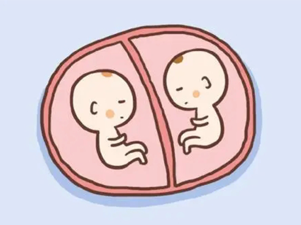双胎前期发育慢