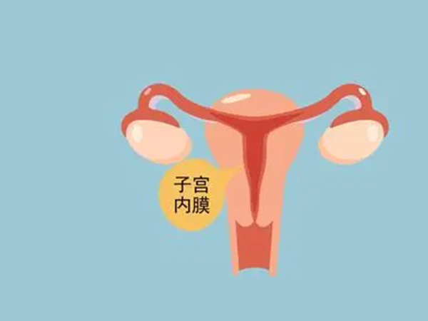 子宫内膜增厚可能是雌激素分泌多