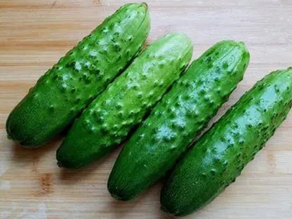 黄瓜是一种可以的减肥蔬菜