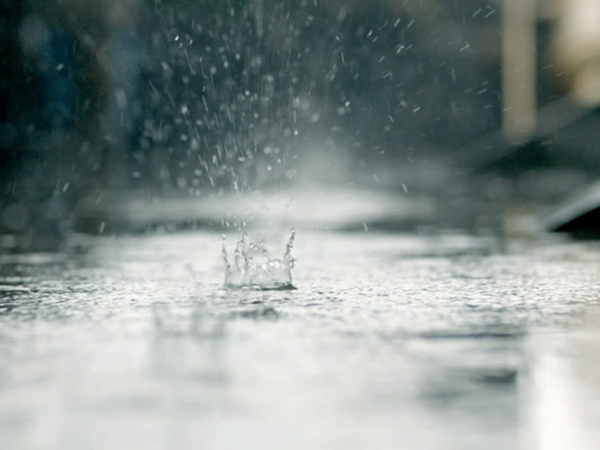 梦见山上雨夹雪寓意生双胞胎