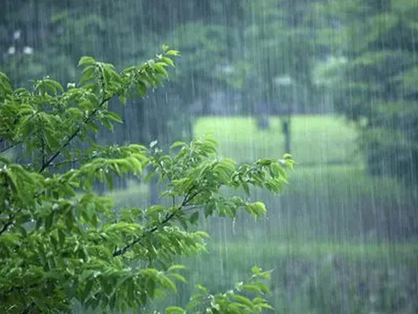 梦见被雨淋寓意不好