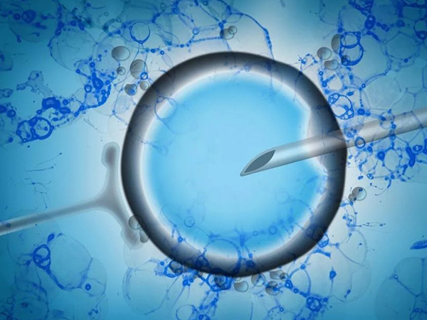 卵巢早衰试管助孕成功率有多少？附卵巢早衰做试管成功率提升窍门插图