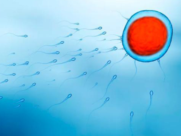 自然周期移植胚胎孕酮要达到25