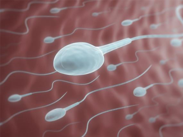 精子问题不是胎停的主要因素
