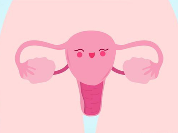 始基子宫卵巢正常可以促排取卵