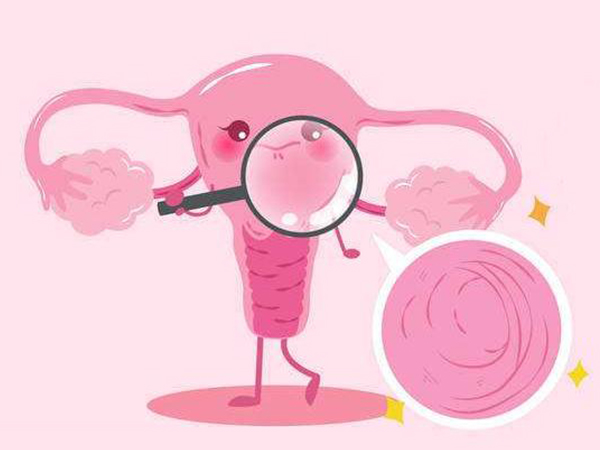 始基子宫卵巢正常可进行腹部取卵