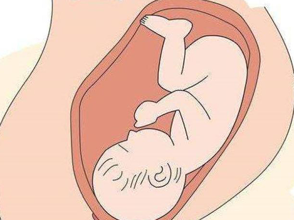 胎位不能看胎儿性别