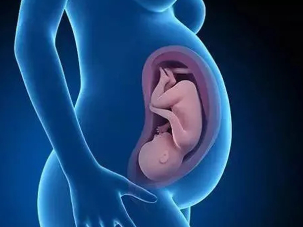 正常的胎位是头朝下