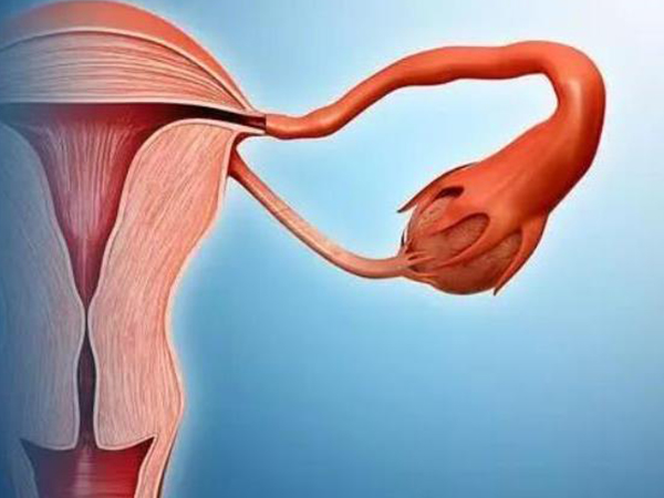 输卵管异常会影响受孕