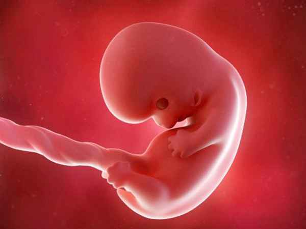 孕早期胎芽发育慢可能是营养不足