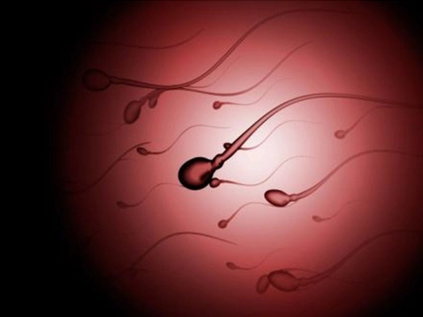 精元抗体会导致不孕不育