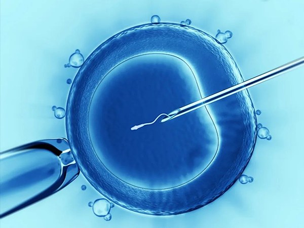 试管移植优胚说明受孕成功率高