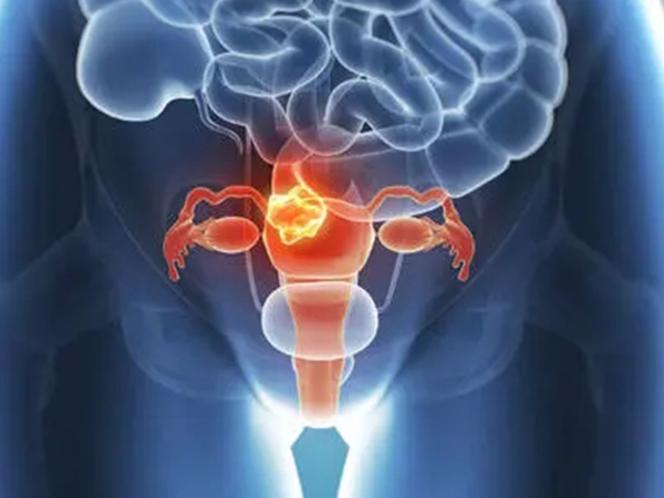女版勃锐精可以治疗卵巢早衰