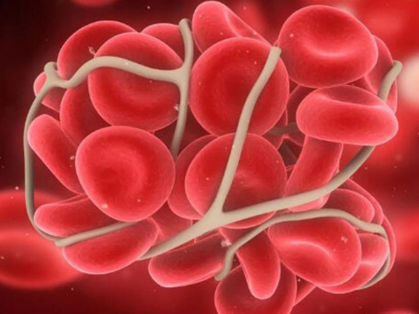 O型血和AB型血易发生溶血现象