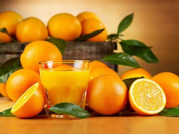 橙子有开胃生津的功效和作用