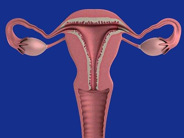 子宫会影响供卵试管妊娠率