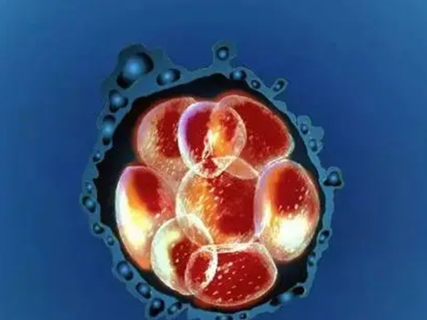鲜胚移植成功会有腰酸的征兆