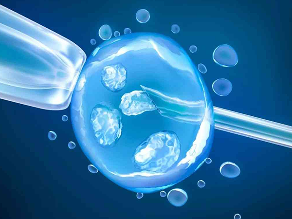 卵泡质量与卵巢功能有直接关系