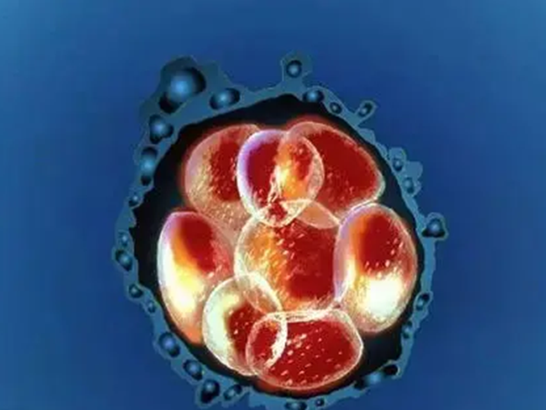 移植鲜胚成功的征兆有尿频