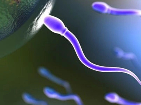 生精片能够提升精子抗菌能力