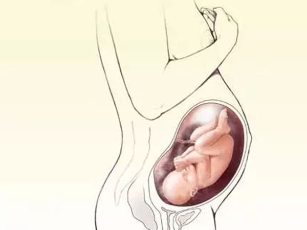 试管移植能更好的确定妊娠时间