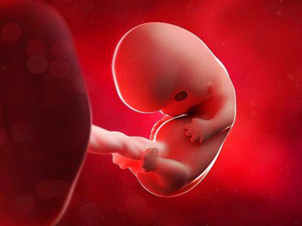 胎停育可能是染色体异常导致