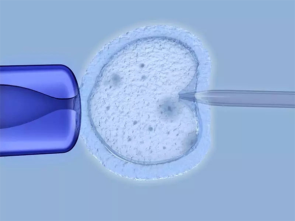 透明带厚可以做二代试管助孕
