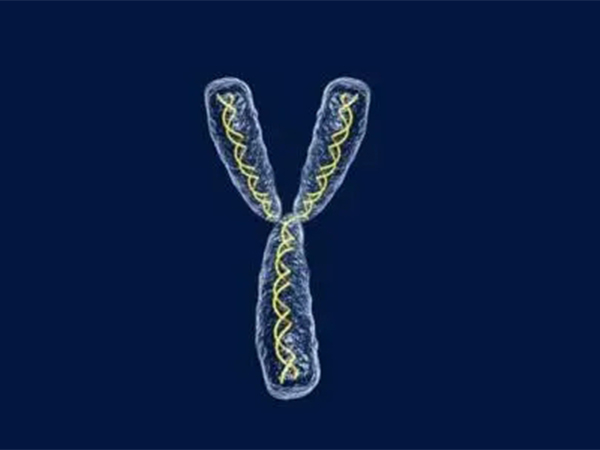 性染色体异常会影响生殖功能
