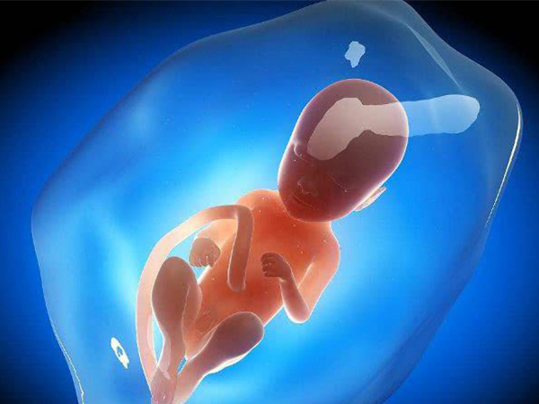 胎停常发于孕3月