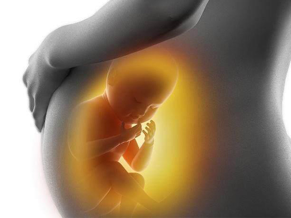 胚胎发育是试管胎停的主因之一