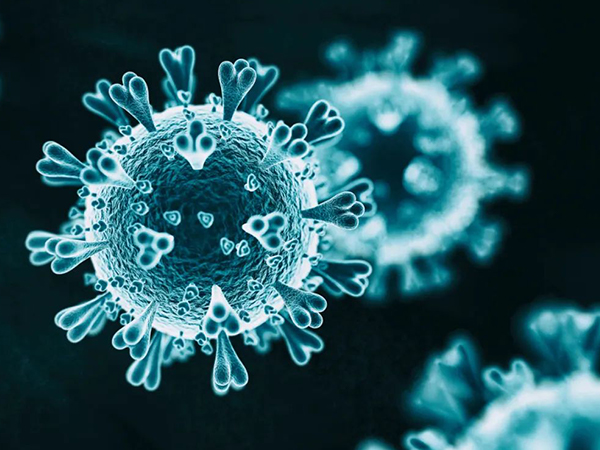 单纯疱疹病毒2型主要是生殖器感染