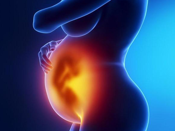 两次胎停育可能由胚胎染色体异常导致