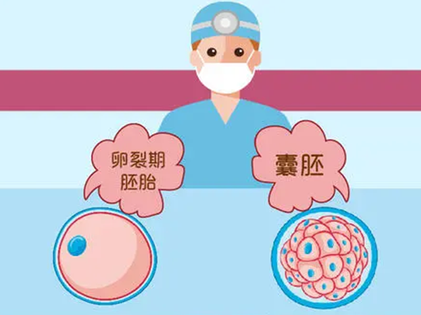 5bc囊胚移植成功率在50%左右
