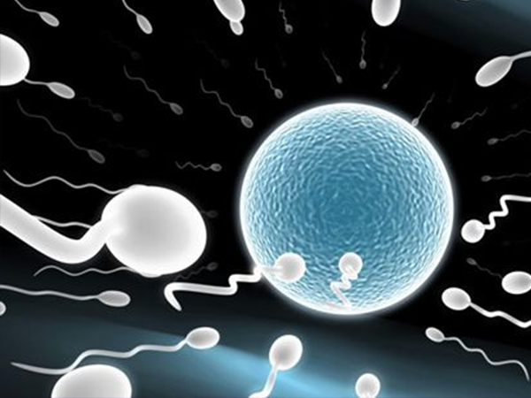 卵泡从发育到成熟的时间因人而异