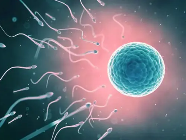 囊胚移植后可用早孕试纸测怀孕