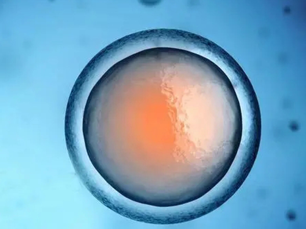 卵泡发育过大会引起卵巢病变