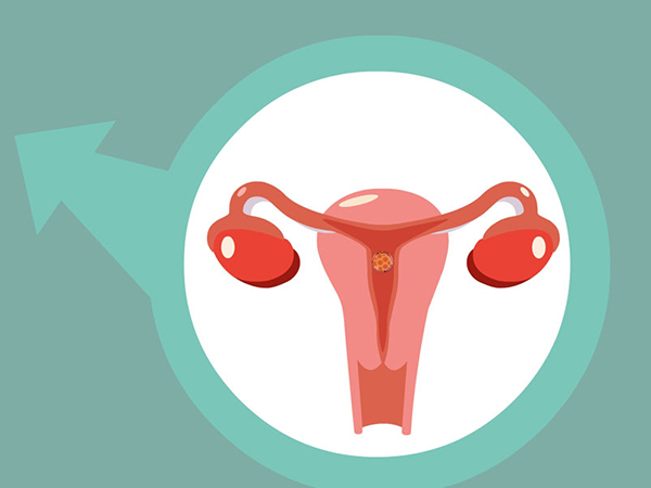 卵泡发育会影响女性怀孕