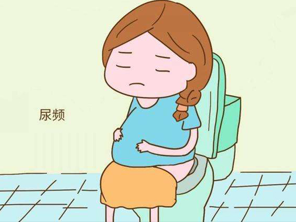 孕妇要生前几天会有尿频的症状