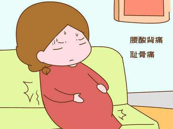 孕晚期宫底下降压迫腰背部导致疼痛