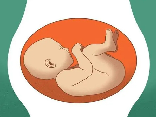 胎儿横位建议剖腹产